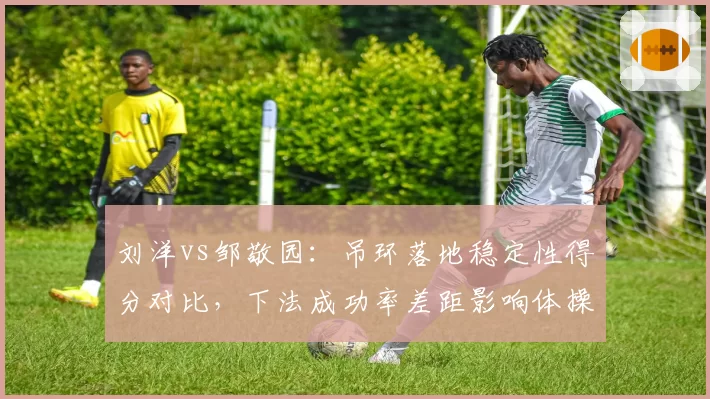 刘洋vs邹敬园:吊环落地稳定性得分对比,下法成功率差距影响体操男团排位