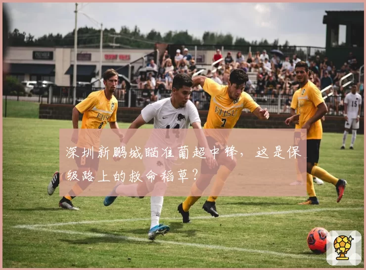 深圳新鹏城瞄准葡超中锋，这是保级路上的救命稻草？